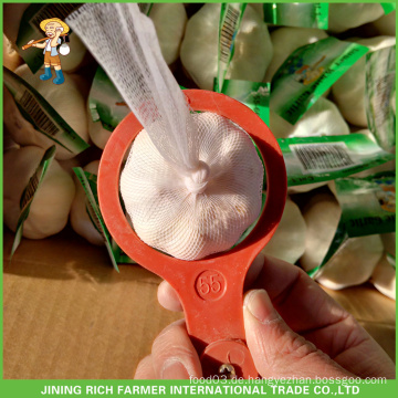 Großhandel Jinxiang China frischen weißen Knoblauch Kleine Verpackung Mesh Bag in Karton